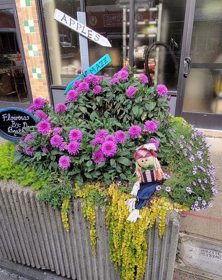 street planter